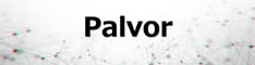 Palvor